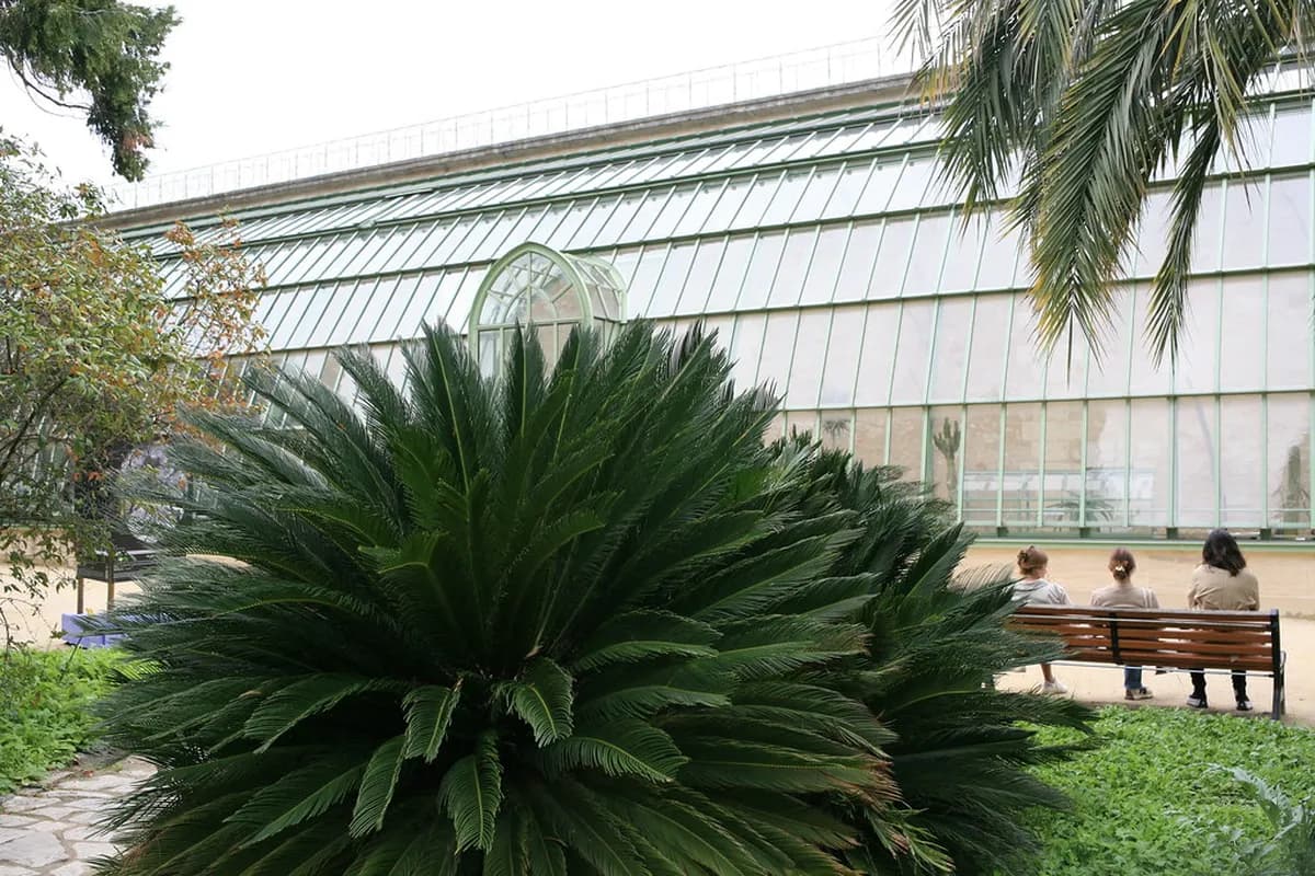 6 Essential Tips for Visiting Jardin des Plantes Montpellier